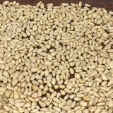 Raw Pine Nuts (1 lb)